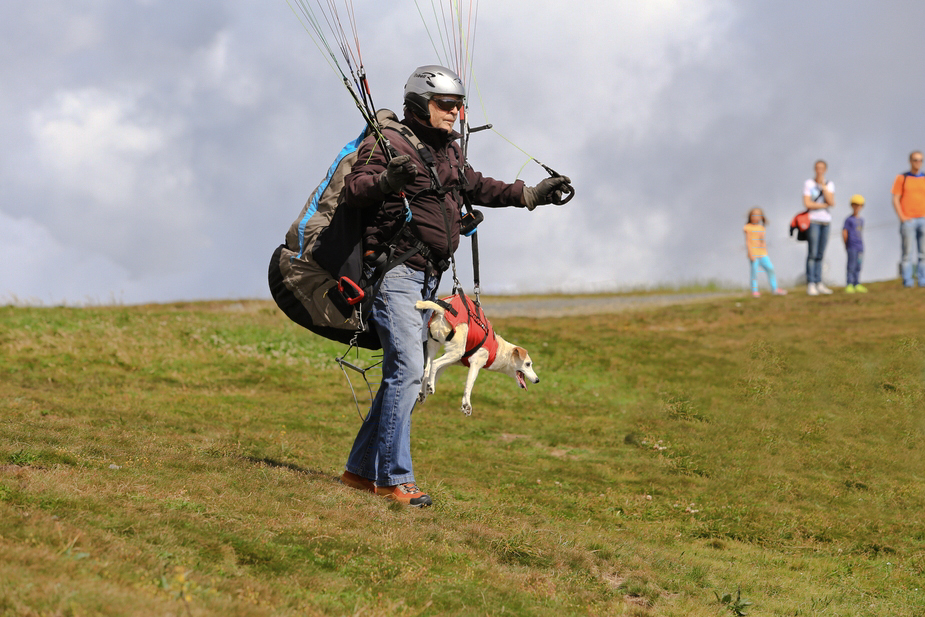 Der fliegende Hund...