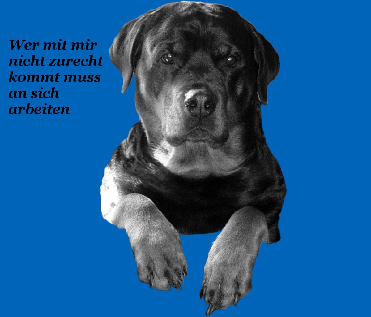 Der fliegende Rottweiler