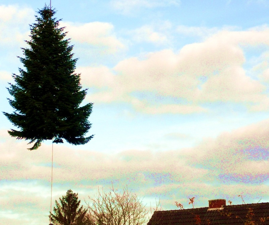 Der fliegende Weihnachtsbaum