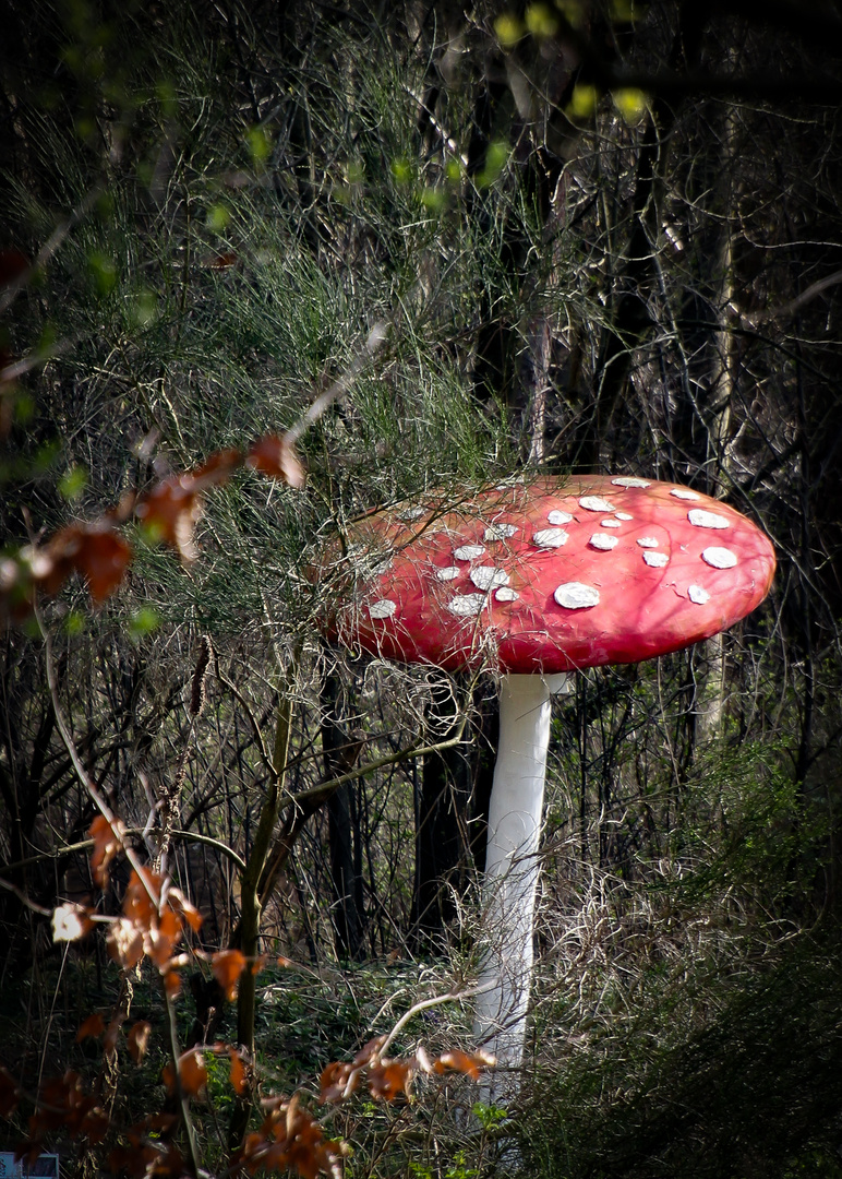 Der Fliegenpilz :-)