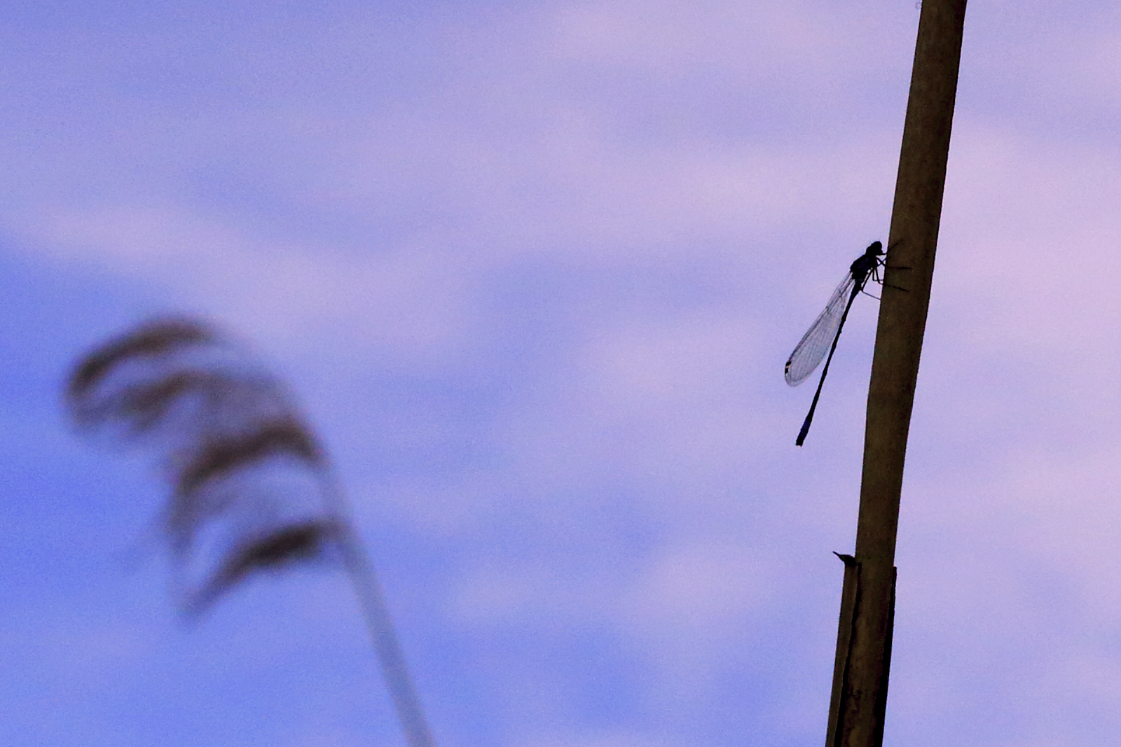 Der Flieger hat Feierabend