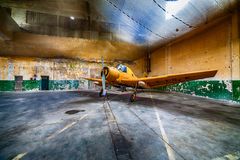 Der Flieger im Hangar