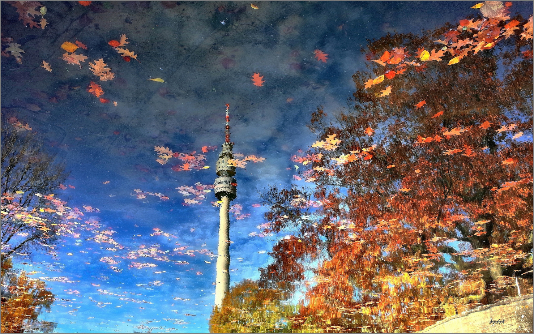 Der Florian im Westfalenpark spiegelt sich im Seerosenteich