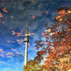 Der Florian im Westfalenpark spiegelt sich im Seerosenteich