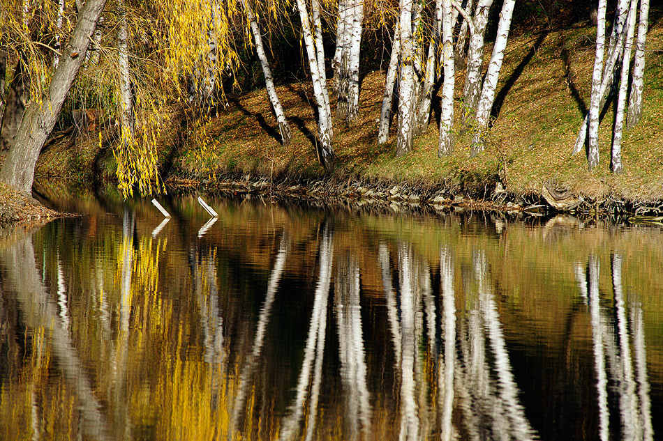 Der Floridsdorfer Wasserpark