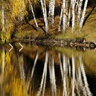 Der Floridsdorfer Wasserpark