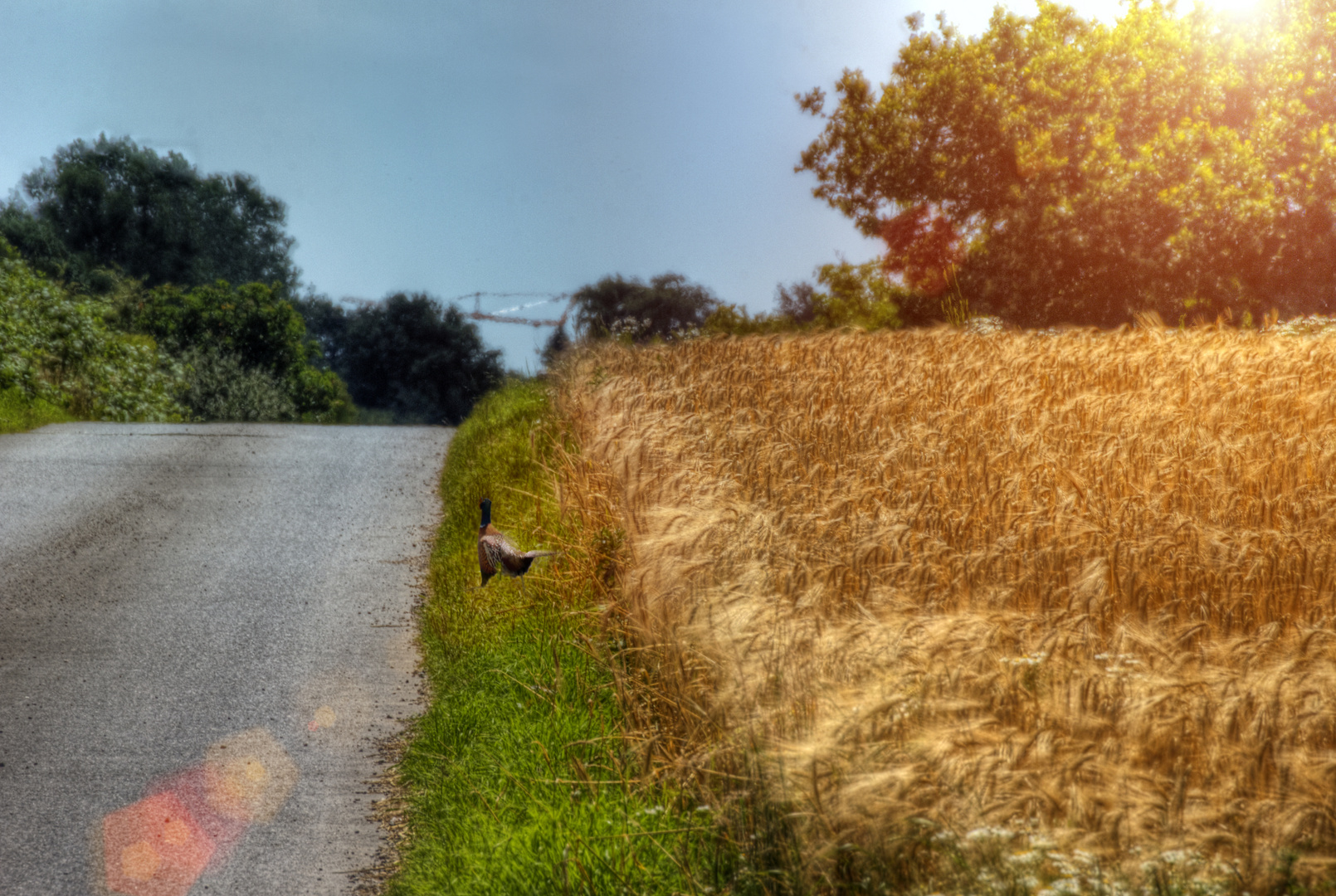 Der flüchtige Moment des Sommers