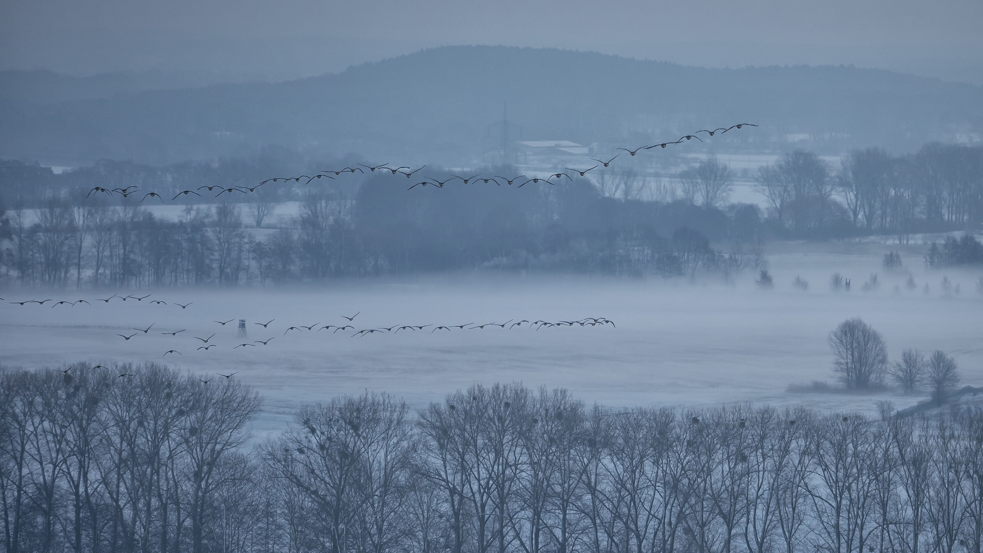 Der Flug