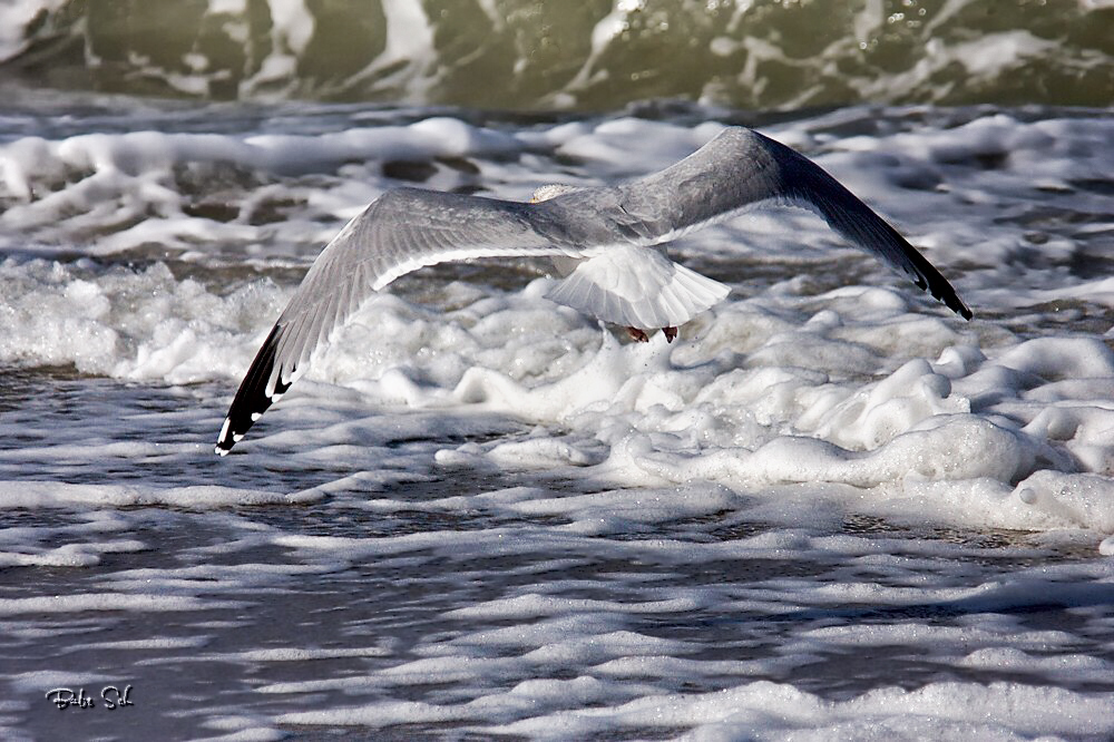 Der Flug beginnt...