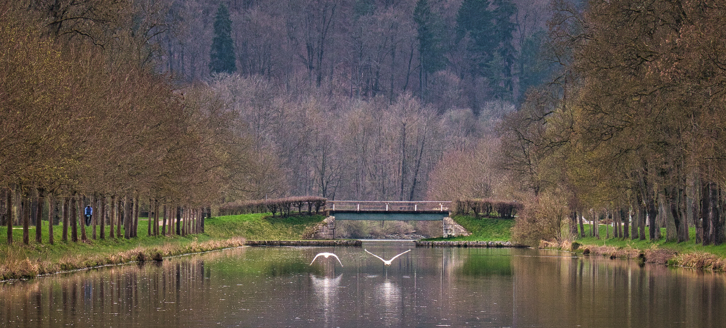 Der Flug der Schwäne