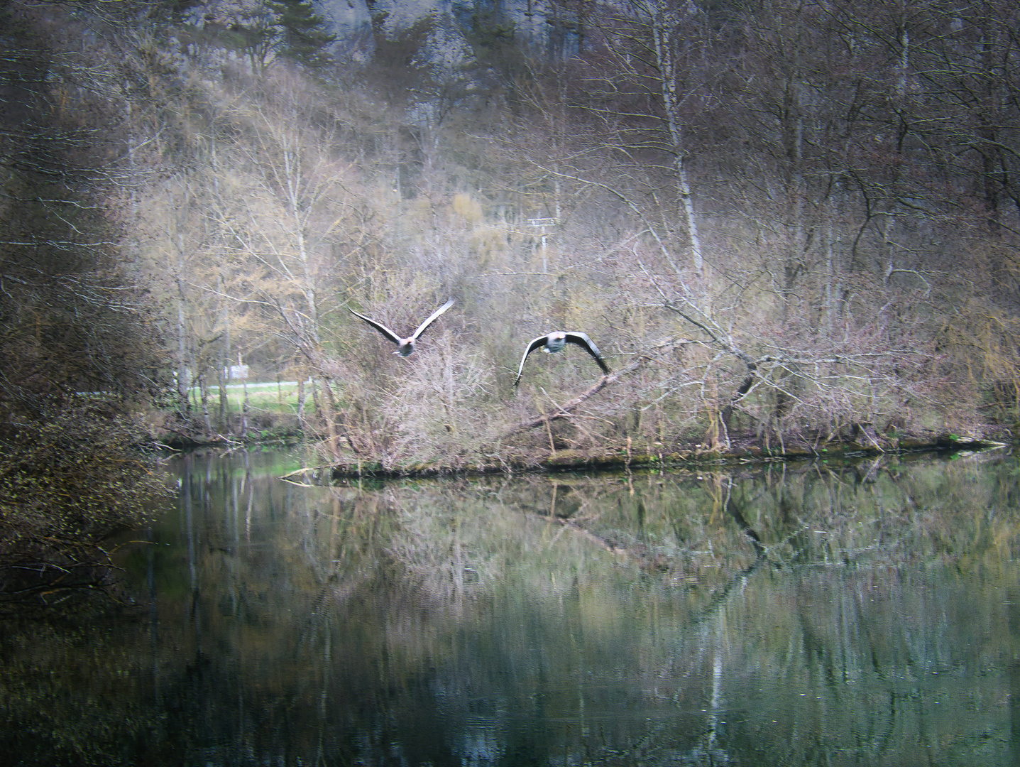 Der Flug der Wildgänse