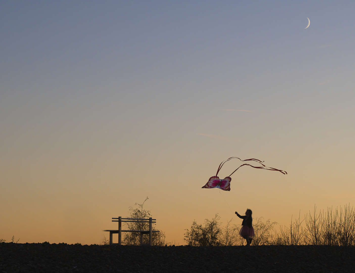 Der Flug des Schmetterlings