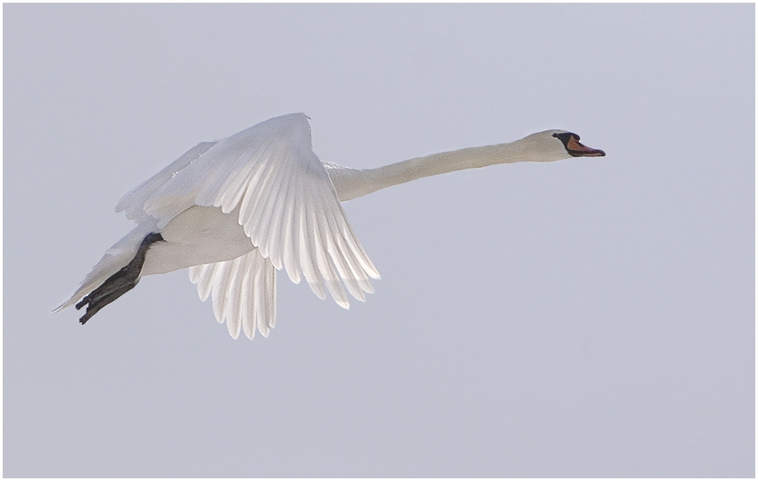 Der Flug durchs Licht