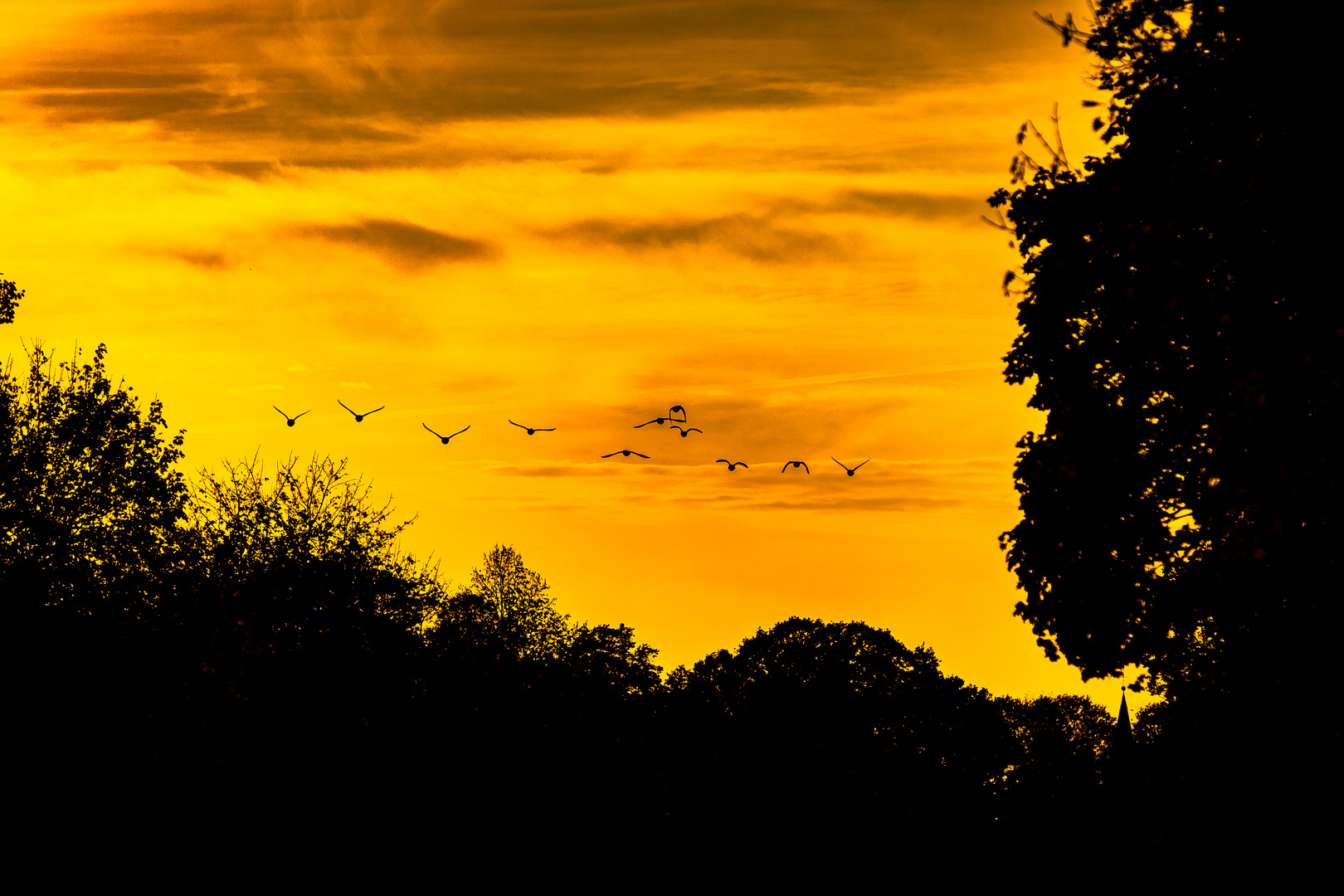 Der Flug in das Abendlicht