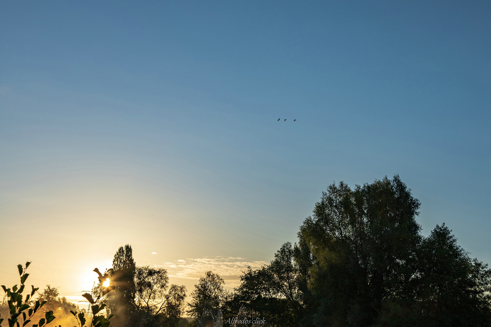  Der Flug in`s Blaue