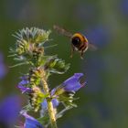 Der Flug ins Wassermannzeitalter....Willkommen