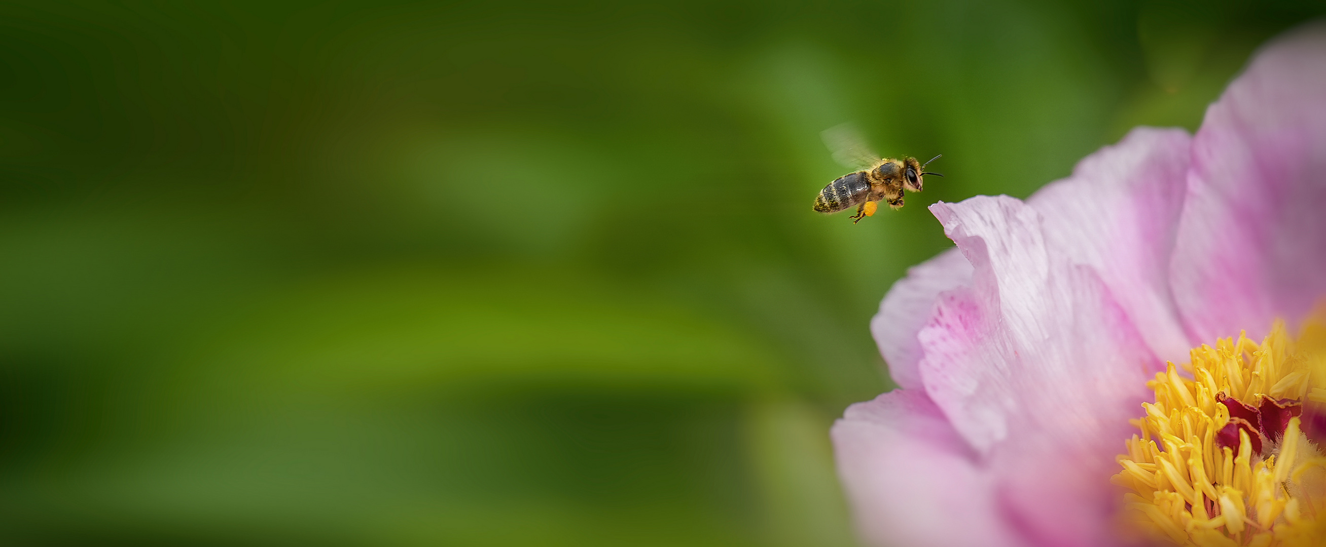 der Flug ist das Ziel …