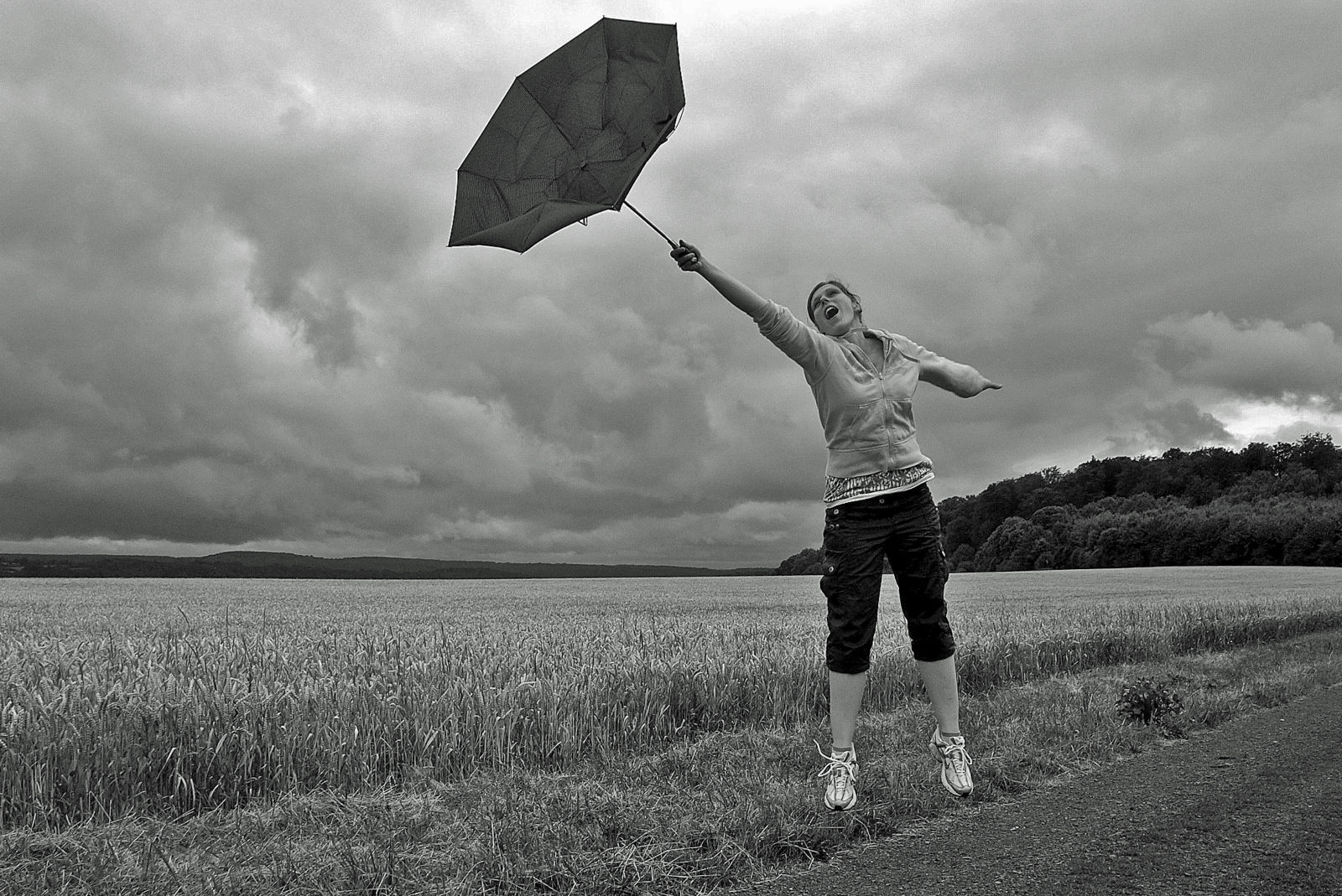 Der Flug mit dem Wind