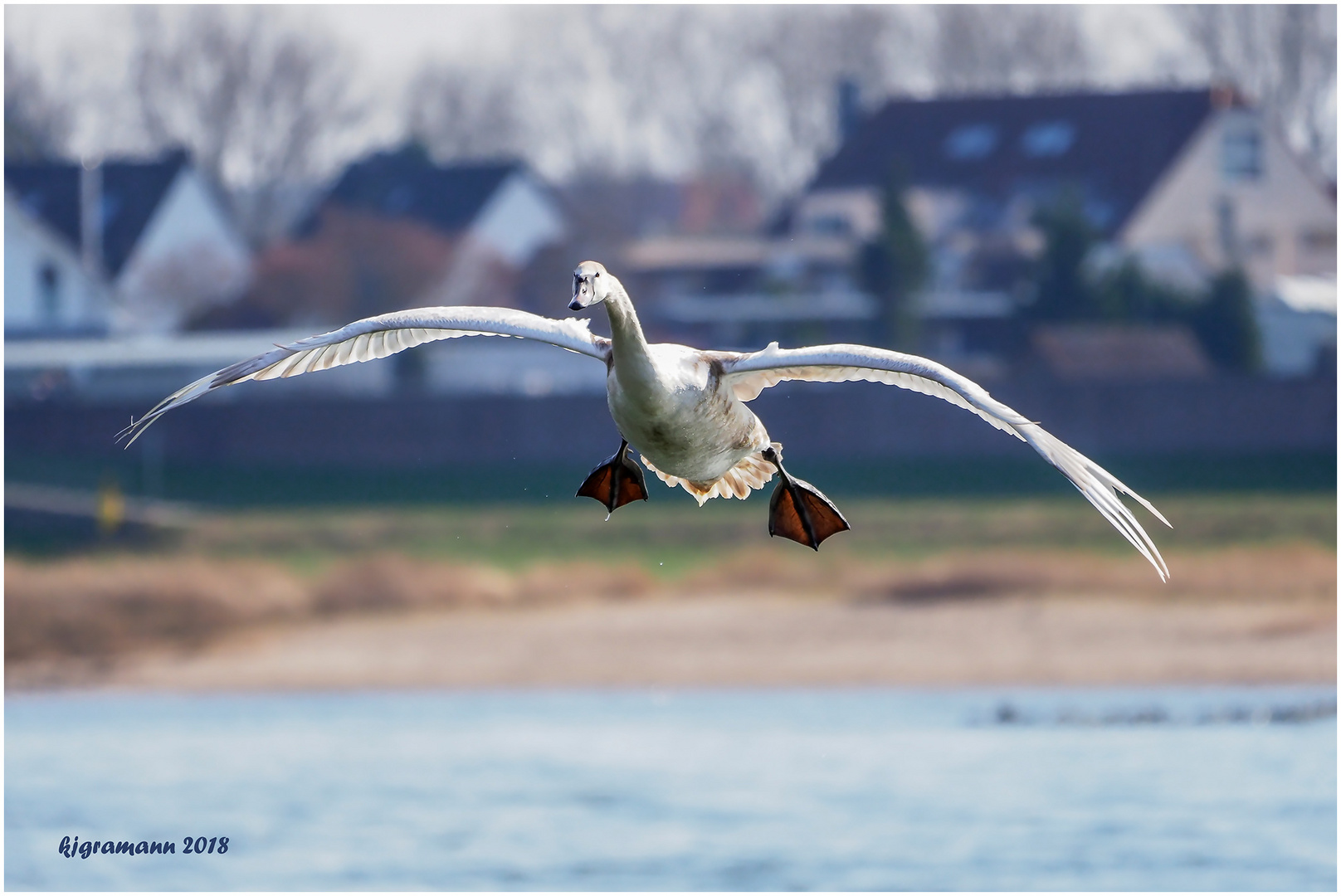 der flug über den rhein......