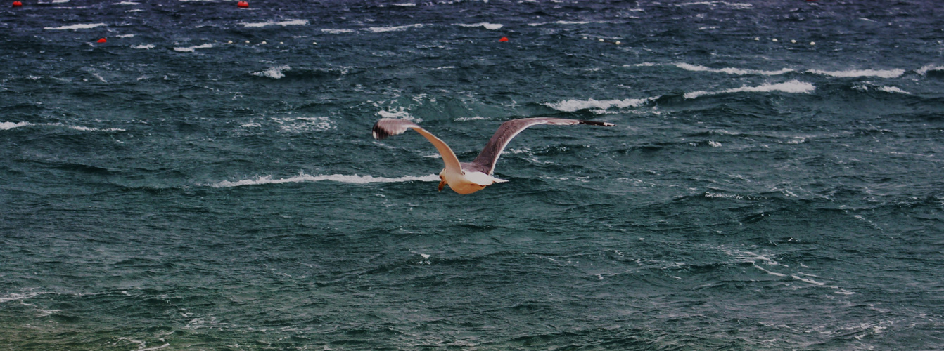 der Flug über s Meer