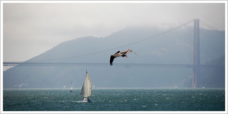 Der Flug zur Golden Gate