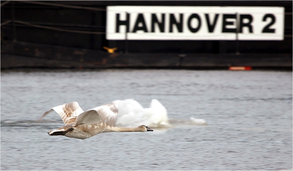 Der Flugbegleiter für den Flug HAJ 02 nach Hannover ....