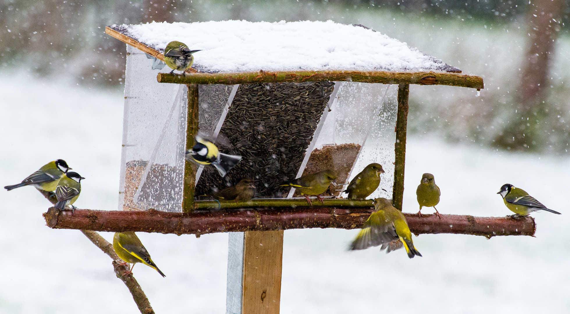 Der Fluglotse ist wohl im Schnee steckengeblieben?