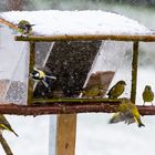 Der Fluglotse ist wohl im Schnee steckengeblieben?