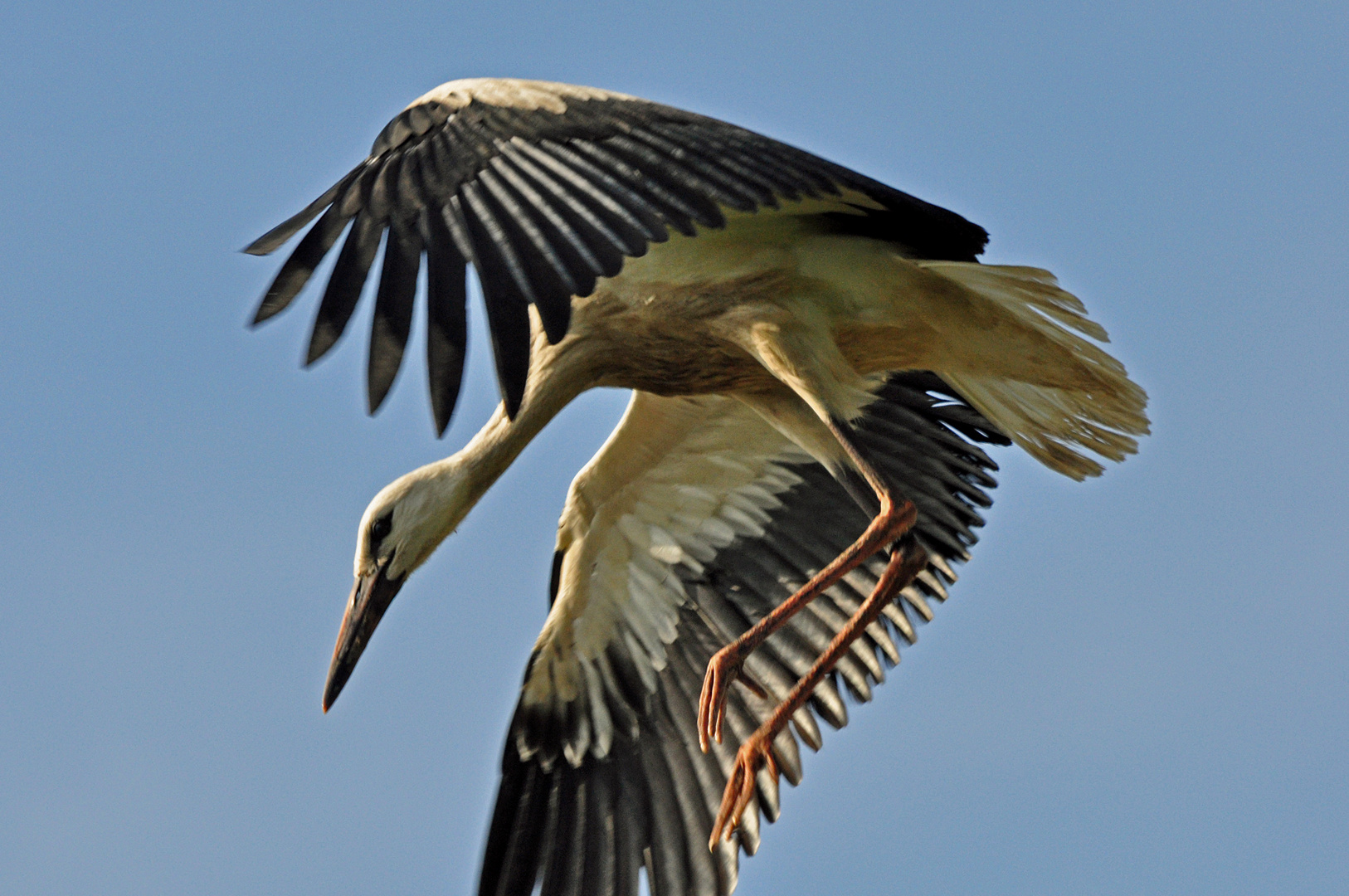 Der Flugschüler