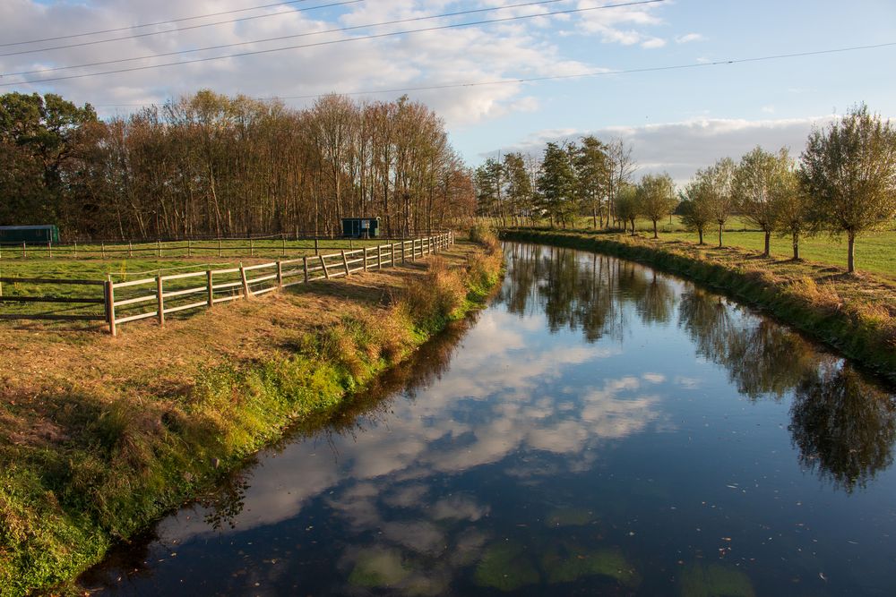Der Fluss Foto & Bild landschaft, jahreszeiten, herbst Bilder auf