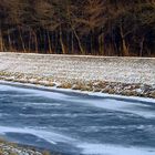 Der Fluss, aus dem die Weiden trinken