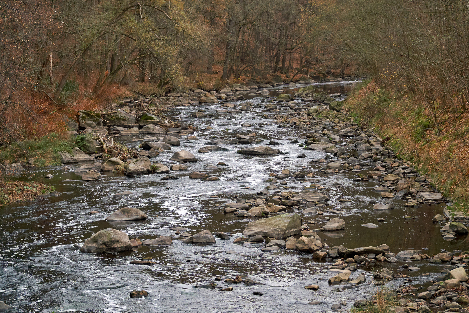 Der Fluss Chemnitz im Herbst, Chemnitztal 