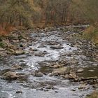 Der Fluss Chemnitz im Herbst, Chemnitztal 