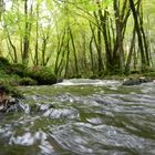 der fluss cousin in der nähe der abbaye de la pierre qui vire