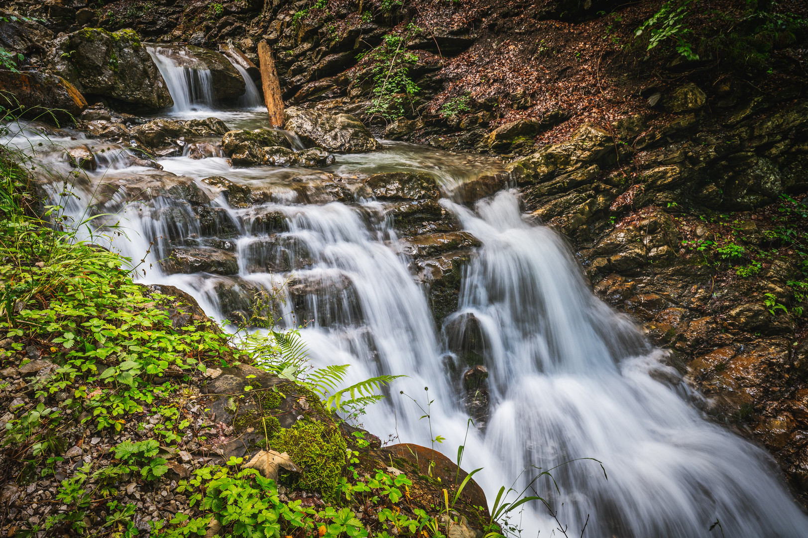 Der Fluss der Zeit