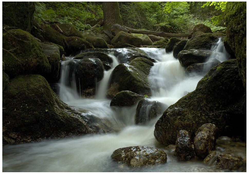 Der Fluss des Lebens