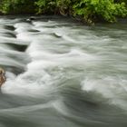 Der Fluss des Lebens...fließt beständig weiter