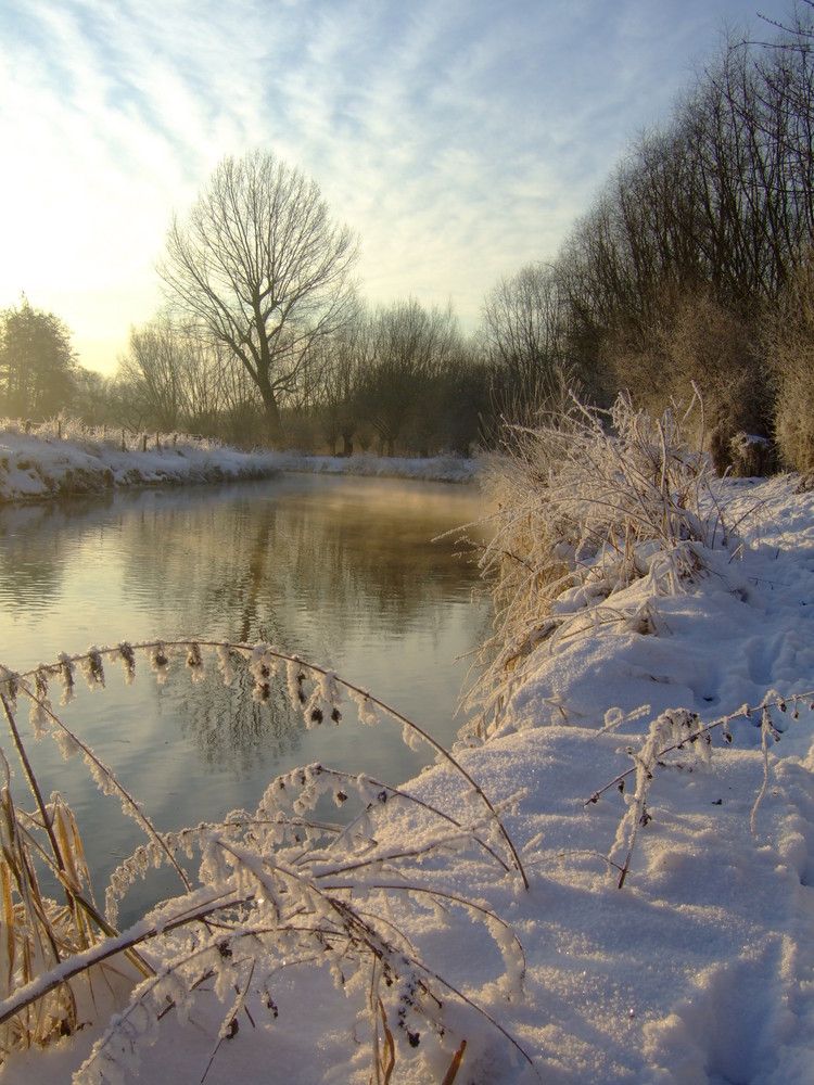 Der Fluß  "die Niers" im Winter