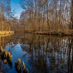 Der Fluss durch den Bruchwald