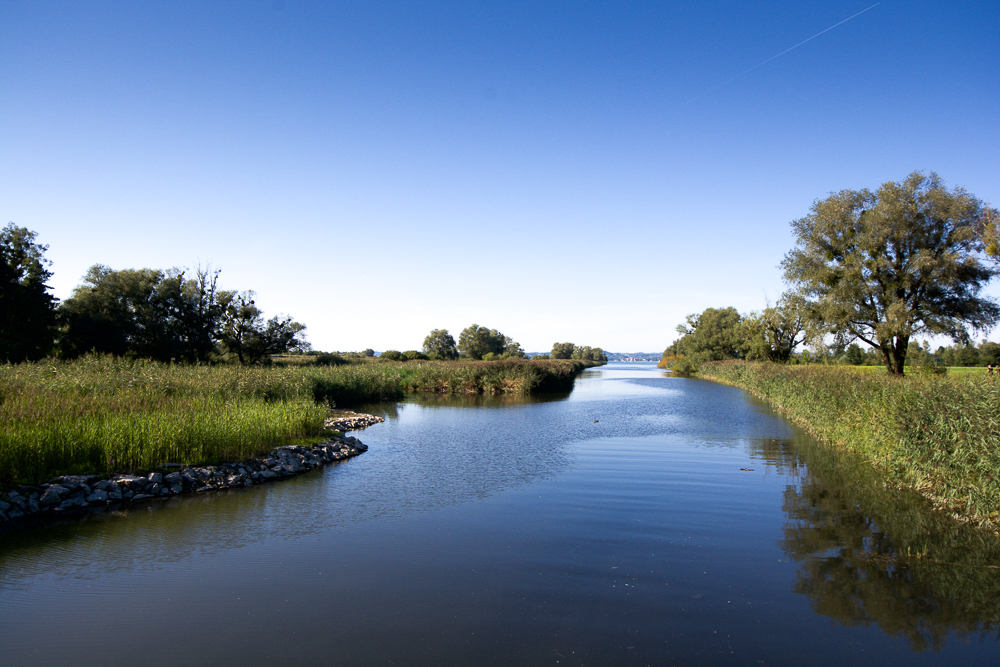 Der Fluss erreicht sein Ziel