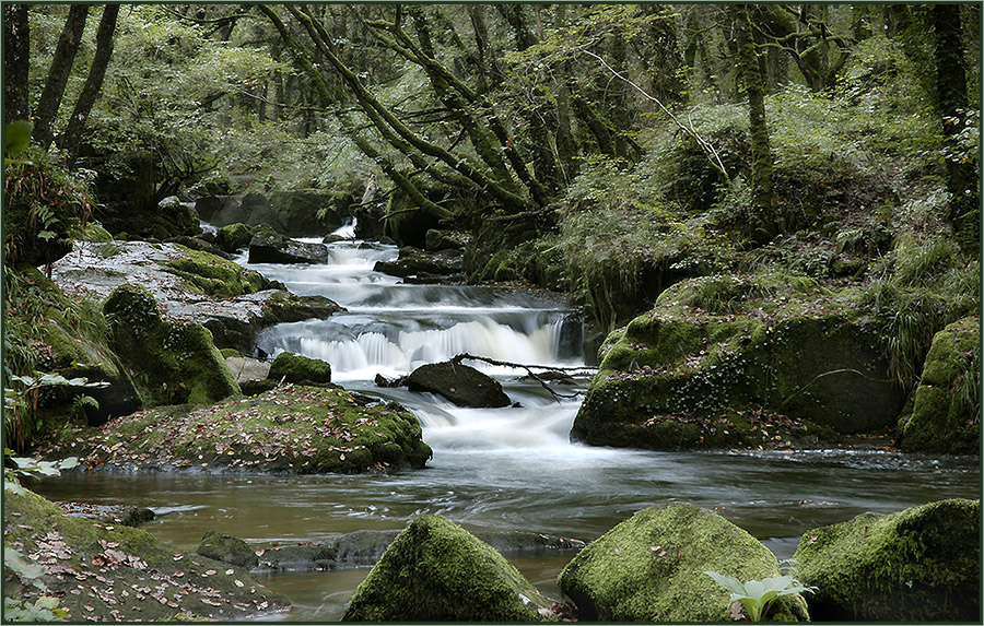 Der Fluss Fowey ...