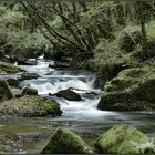 Der Fluss Fowey ...