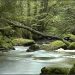 Der Fluss Fowey in Cornwall.