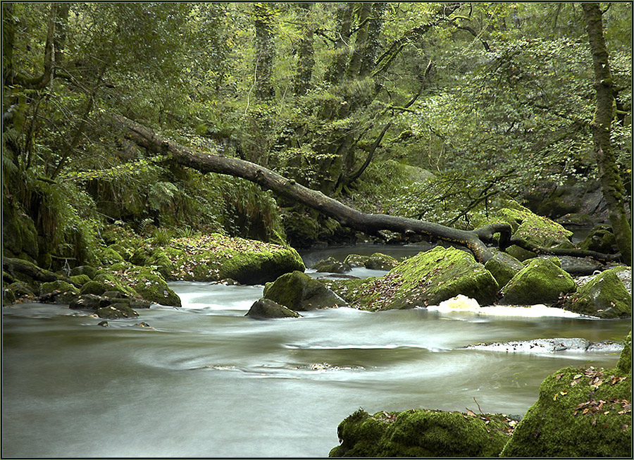 Der Fluss Fowey in Cornwall.