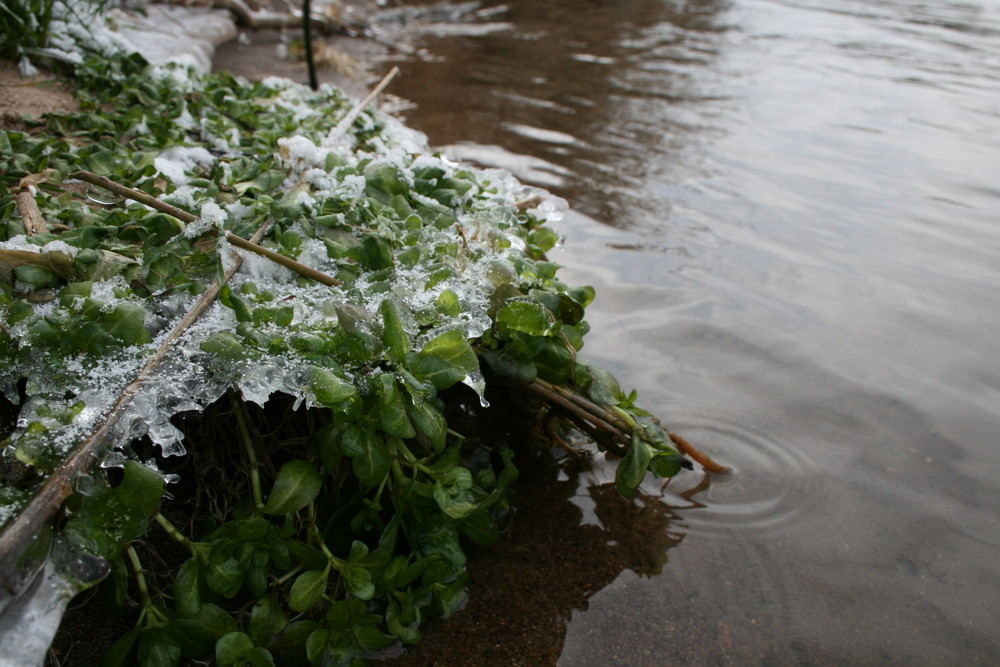 Der Fluss friert nie!