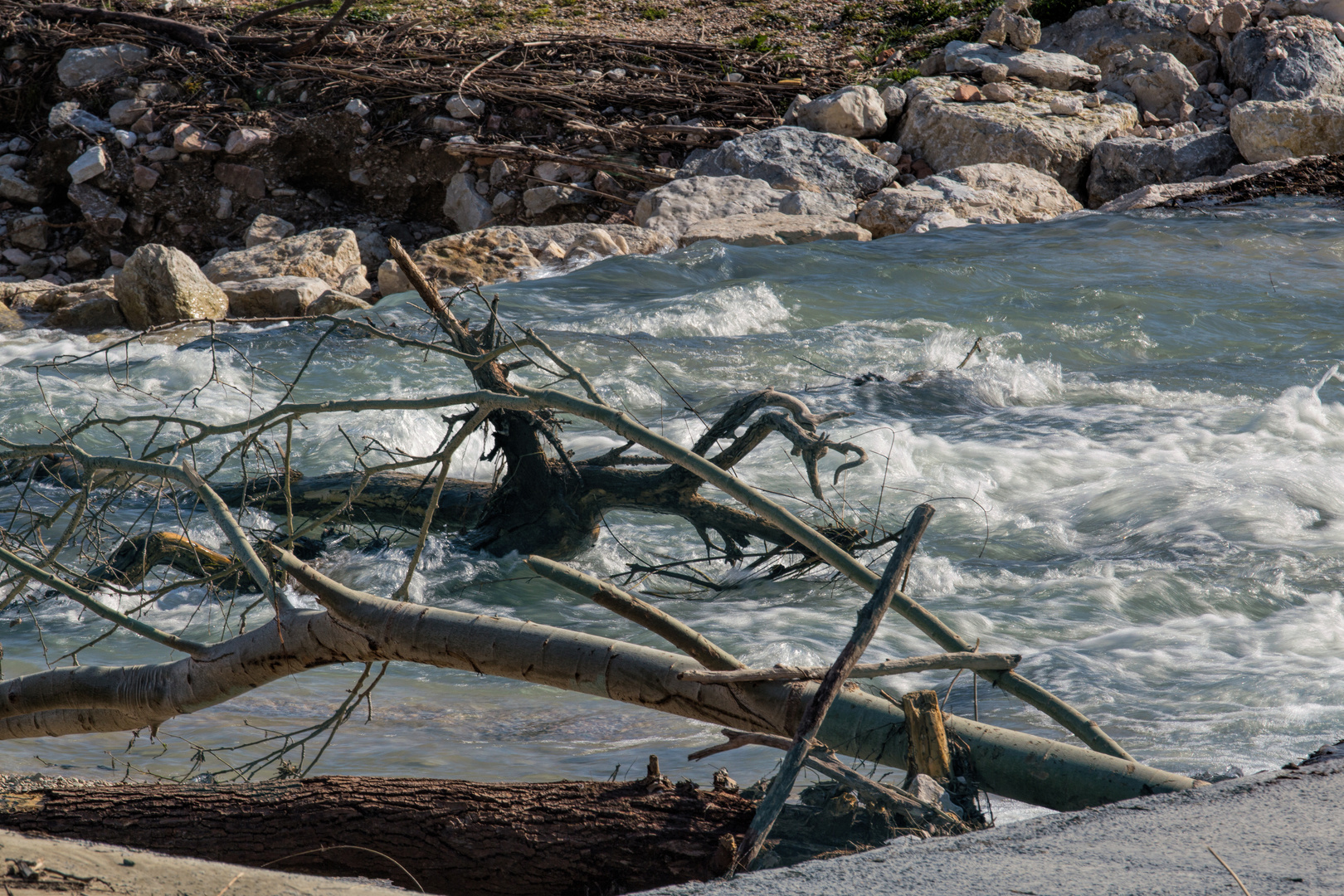 der Fluss hat einiges an Treibgut aus den Bergen mitgebracht