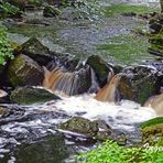 Der Fluss Hoegne im Hohen Venn - 4