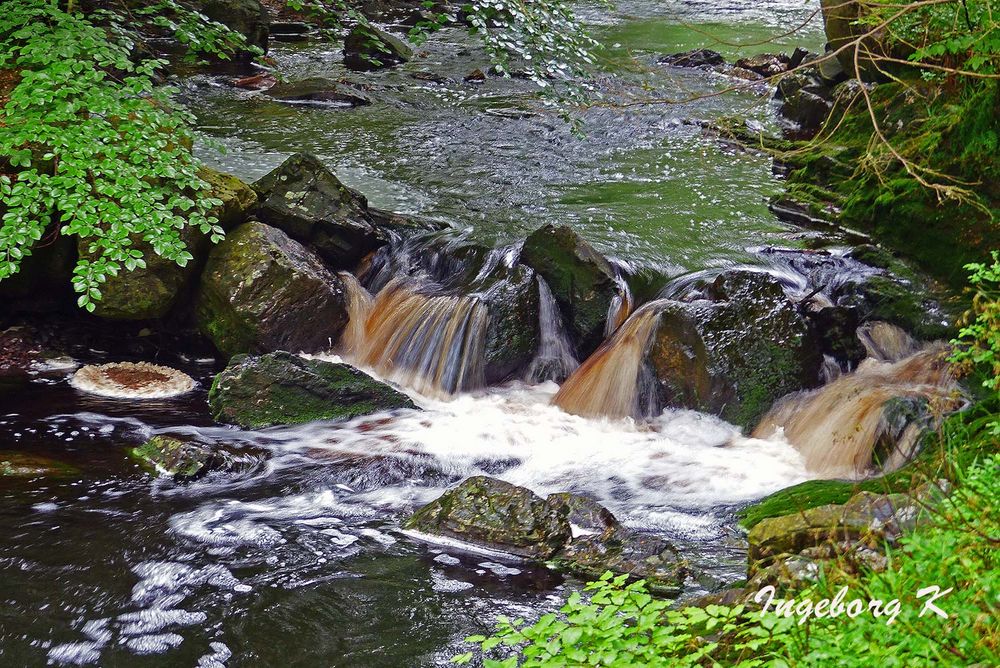 Der Fluss Hoegne im Hohen Venn - 4