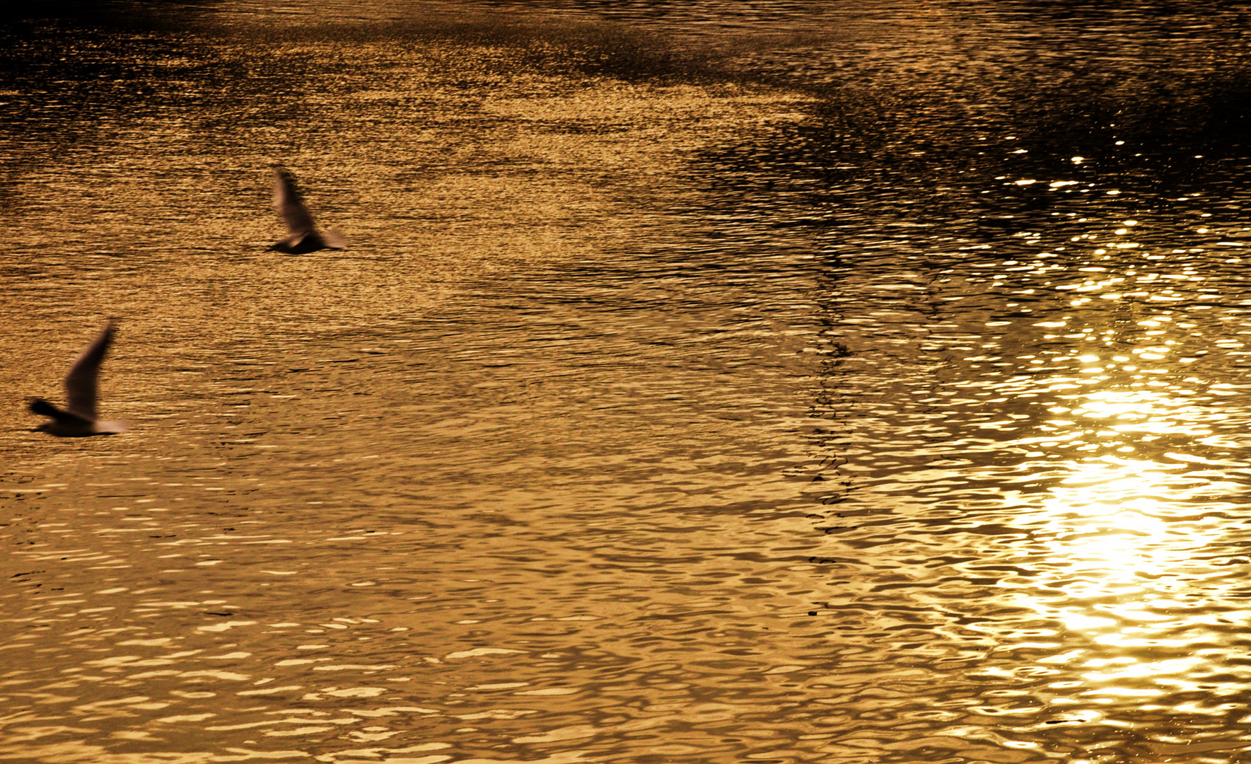 der Fluss nimmt ein Bad in der Sonne