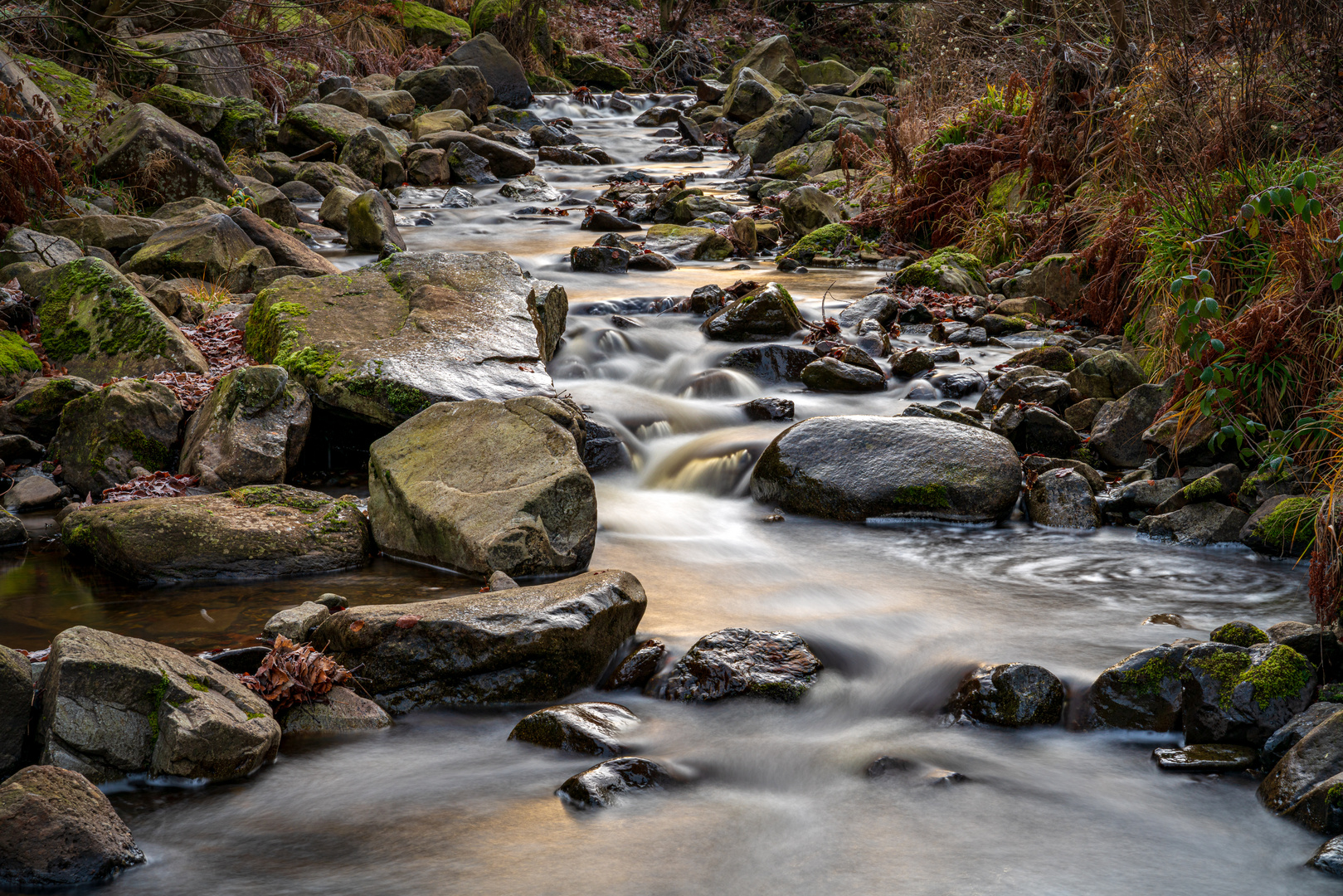 Der Fluss Radau im Harz